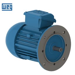 GENERAL PURPOSE MOTOR