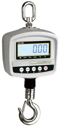 CRANE SCALES