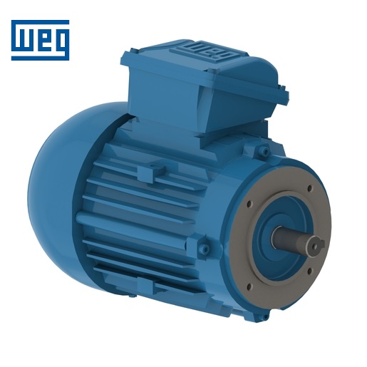 GENERAL PURPOSE MOTOR